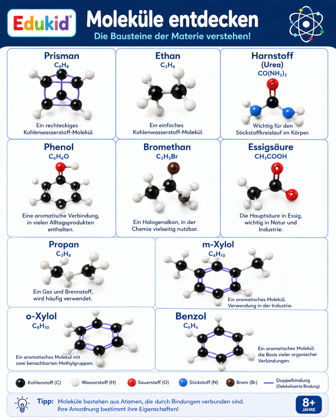 Chemie Molekülbaukasten