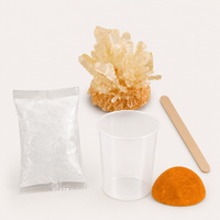 Kristallzucht-Set für Kinder