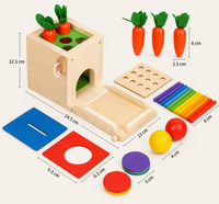 Montessori Objektpermanenz Box 4-in-1