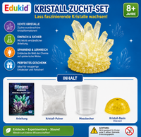 Kristallzucht-Set für Kinder