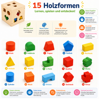 Montessori Formenbox aus Holz