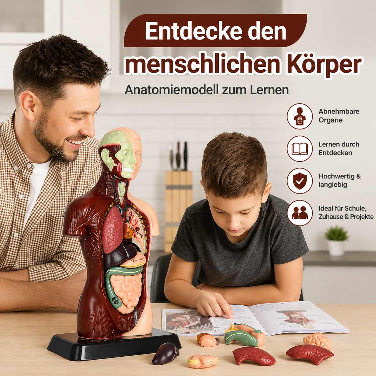 Anatomiemodell für Kinder